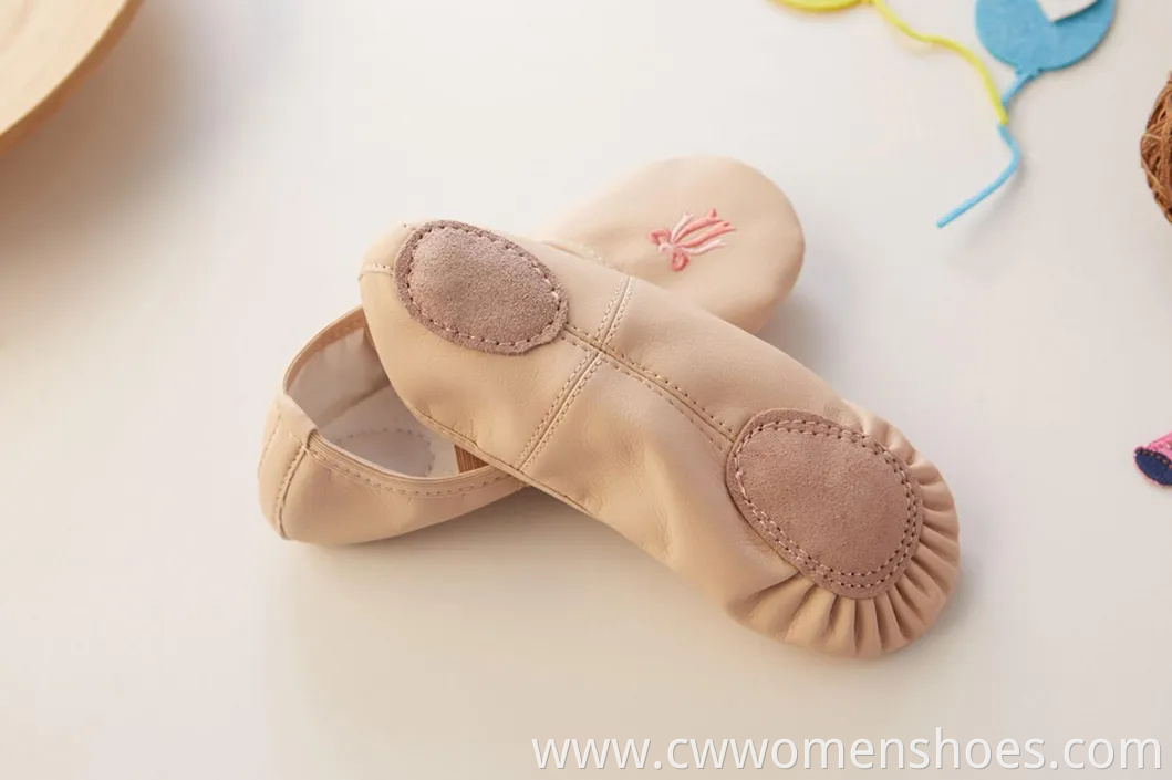 Stylish E5013 Canvas Split Sole Ballet Dance Shoes for Women